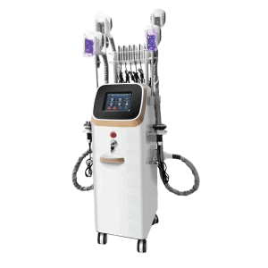 5in1 Cryolipolysis