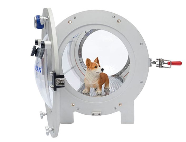 Dog inside hyperbaric chamber
